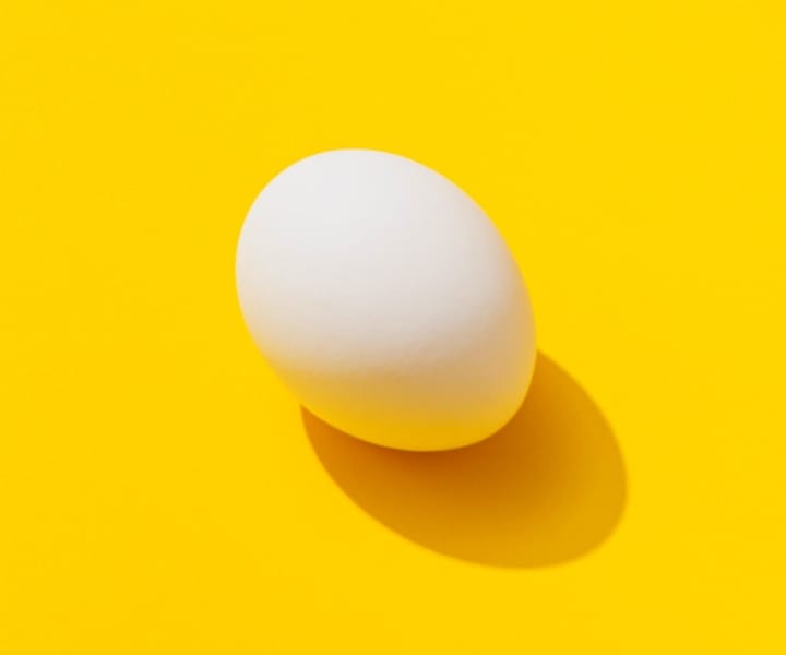 egg in yellow bg art